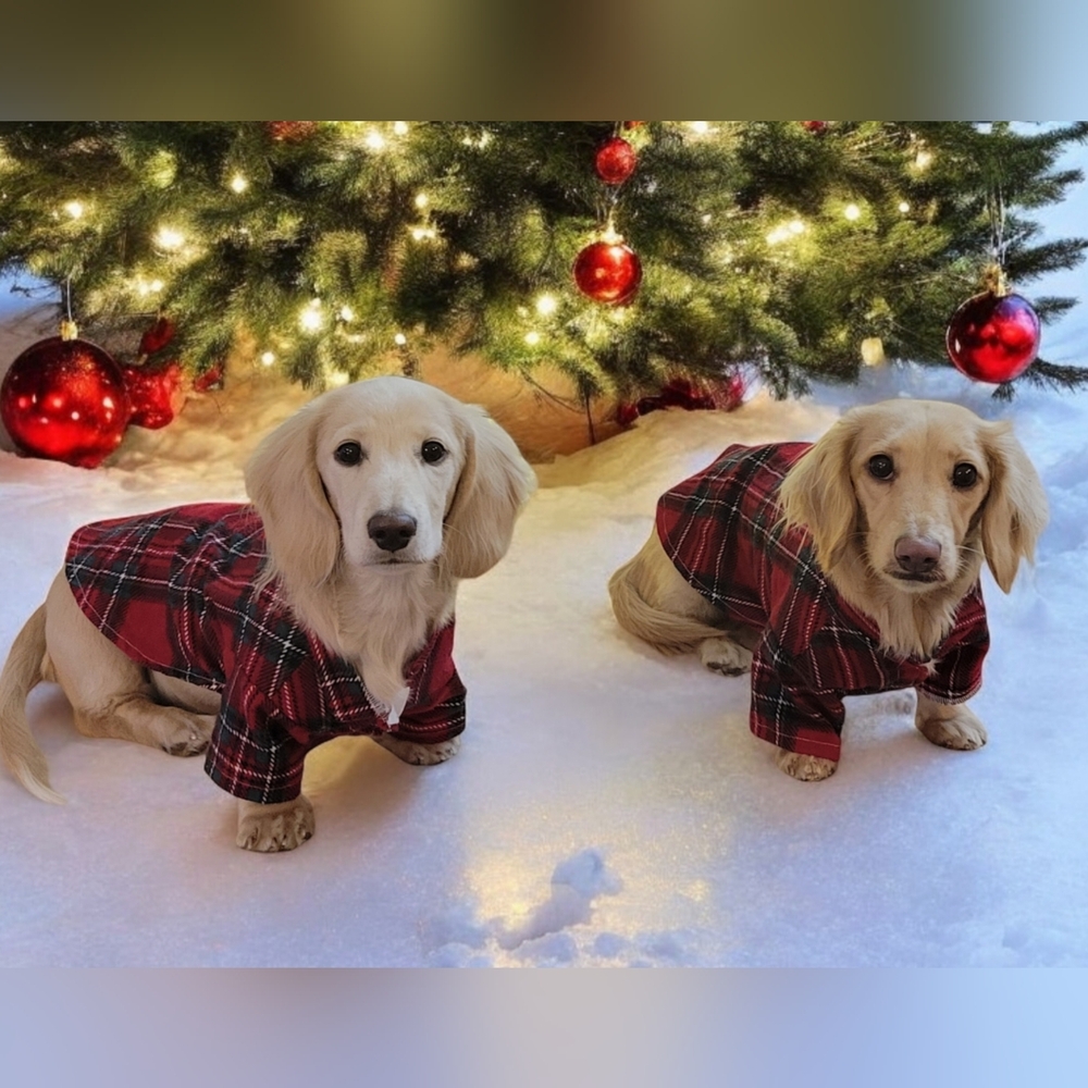 Two Matching Red and Green Plaid Dog Pajama Shirts - Picture 6 of 6